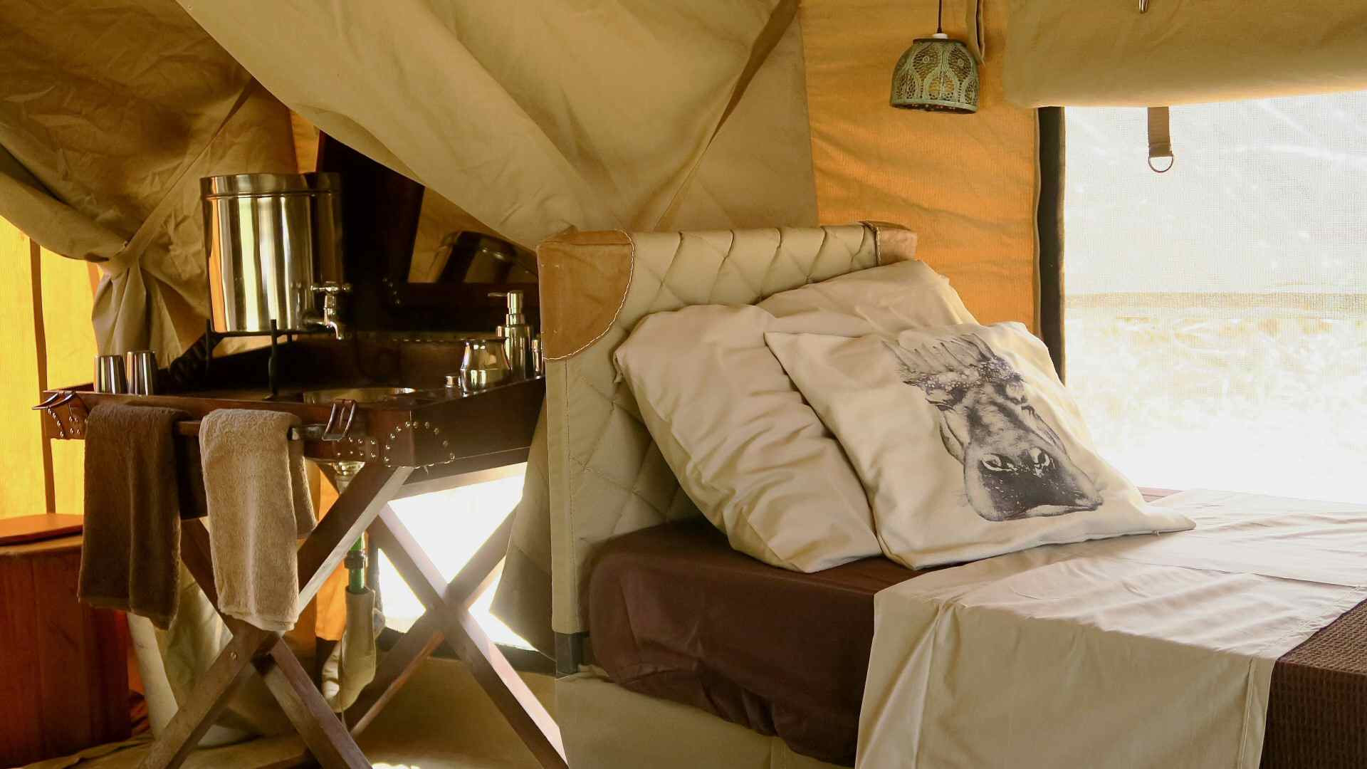 Bush Camp: Designed for agents