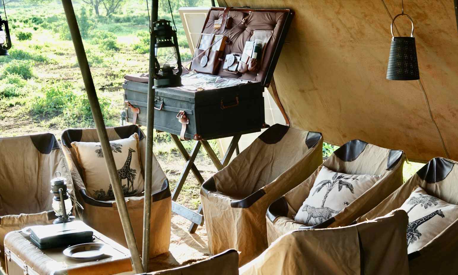 Curious to know more?