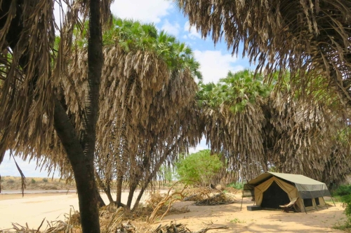 safari-kenya-bush-camp-03