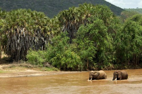 03-the-bush-camp-experience