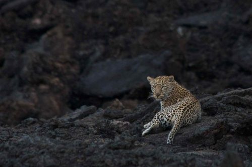 09-the-bush-camp-experience