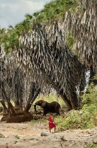 17-the-bush-camp-experience